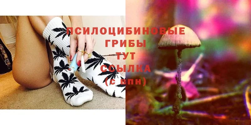 Псилоцибиновые грибы Magic Shrooms  Красавино 